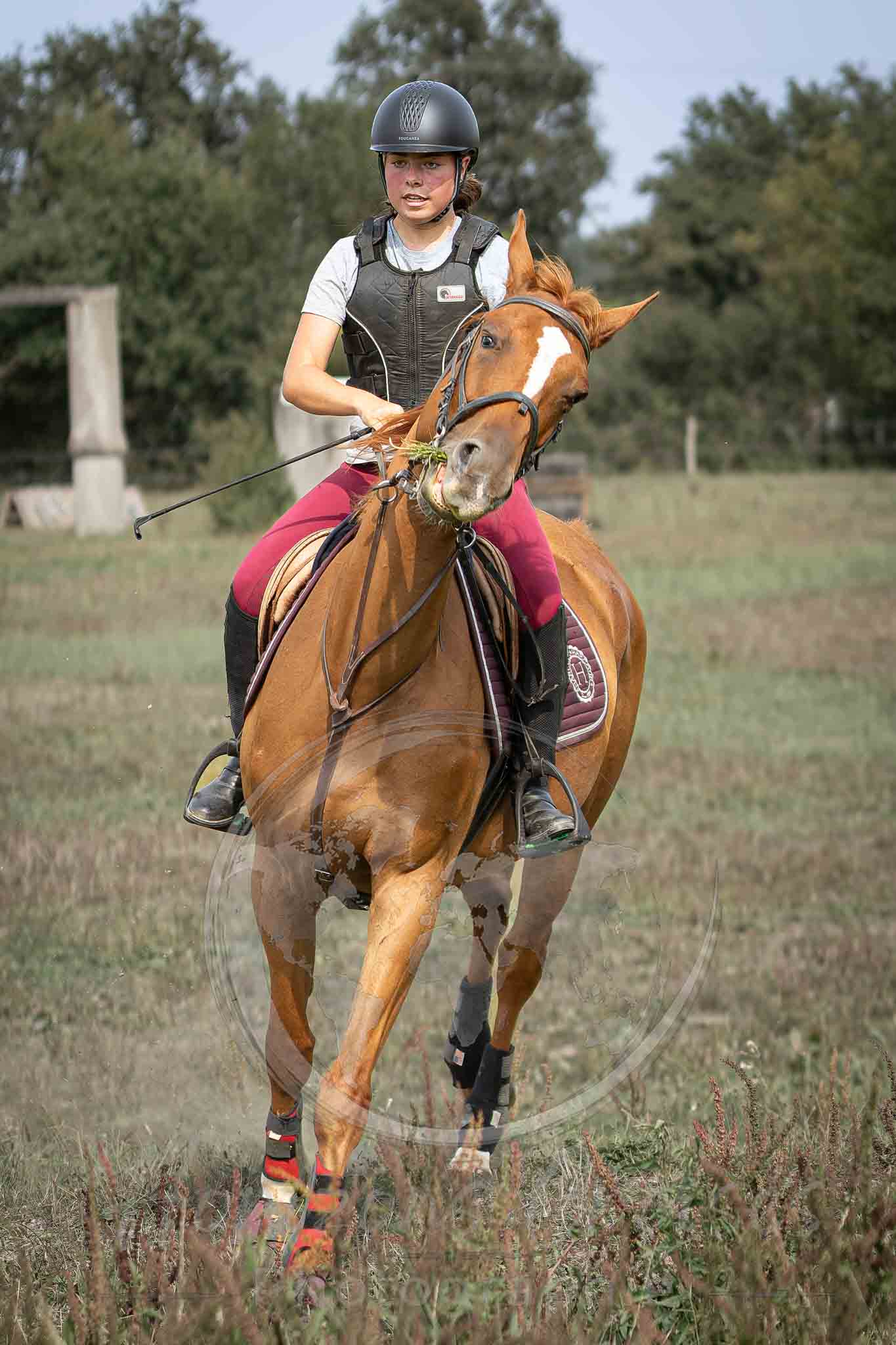 Ecurie de Rouvre - cross #5