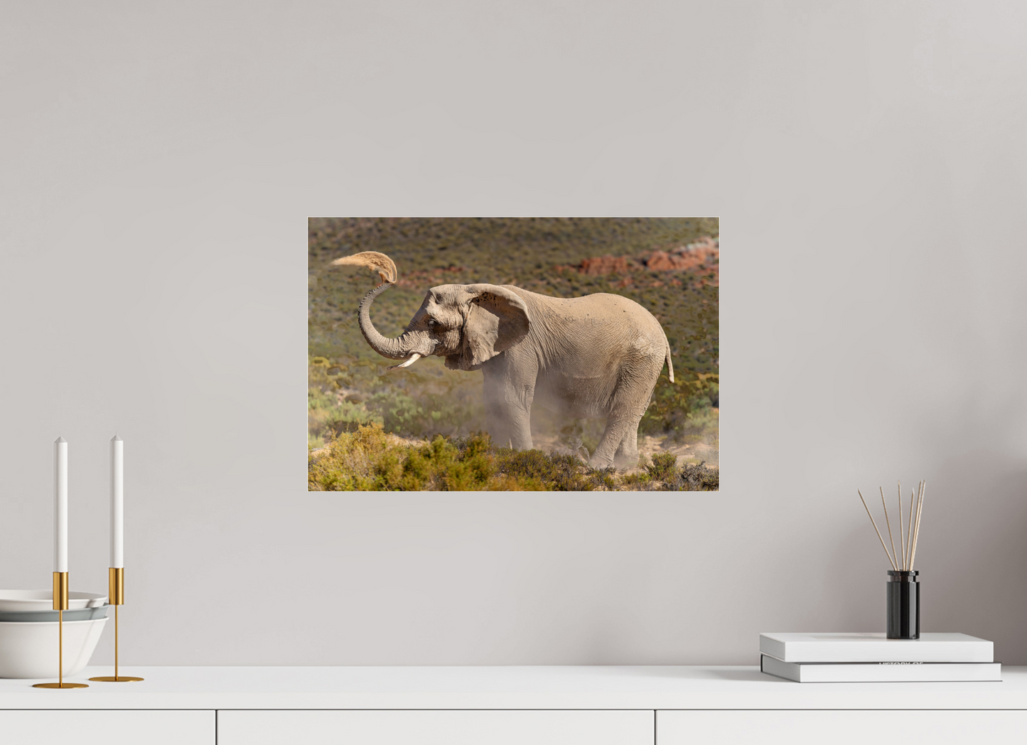 45 x 30 cm, Verre acrylique Dust and Elephant