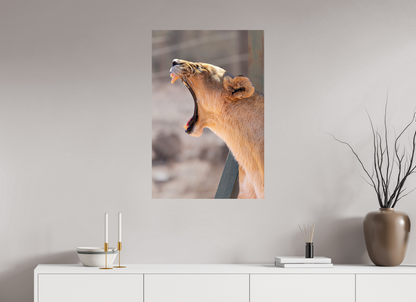 60 x 90 cm, Papier photo Fuji So tired !