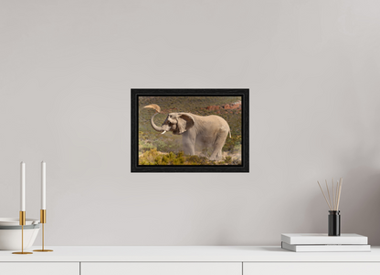 30 x 20 cm, Cadre bois Dust and Elephant