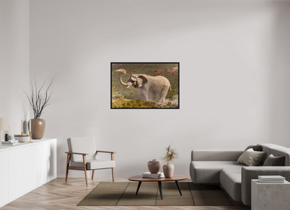 120 x 80 cm, Cadre bois Dust and Elephant