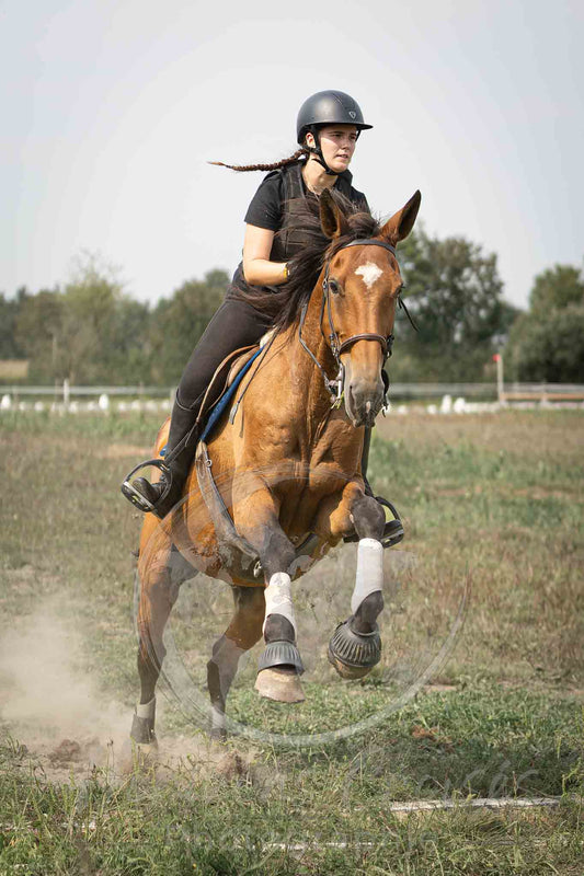 Ecurie de Rouvre - cross #4