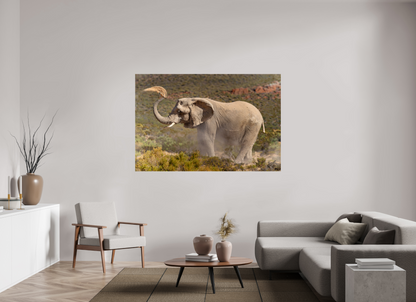 180 x 120 cm, Papier photo Fuji Dust and Elephant