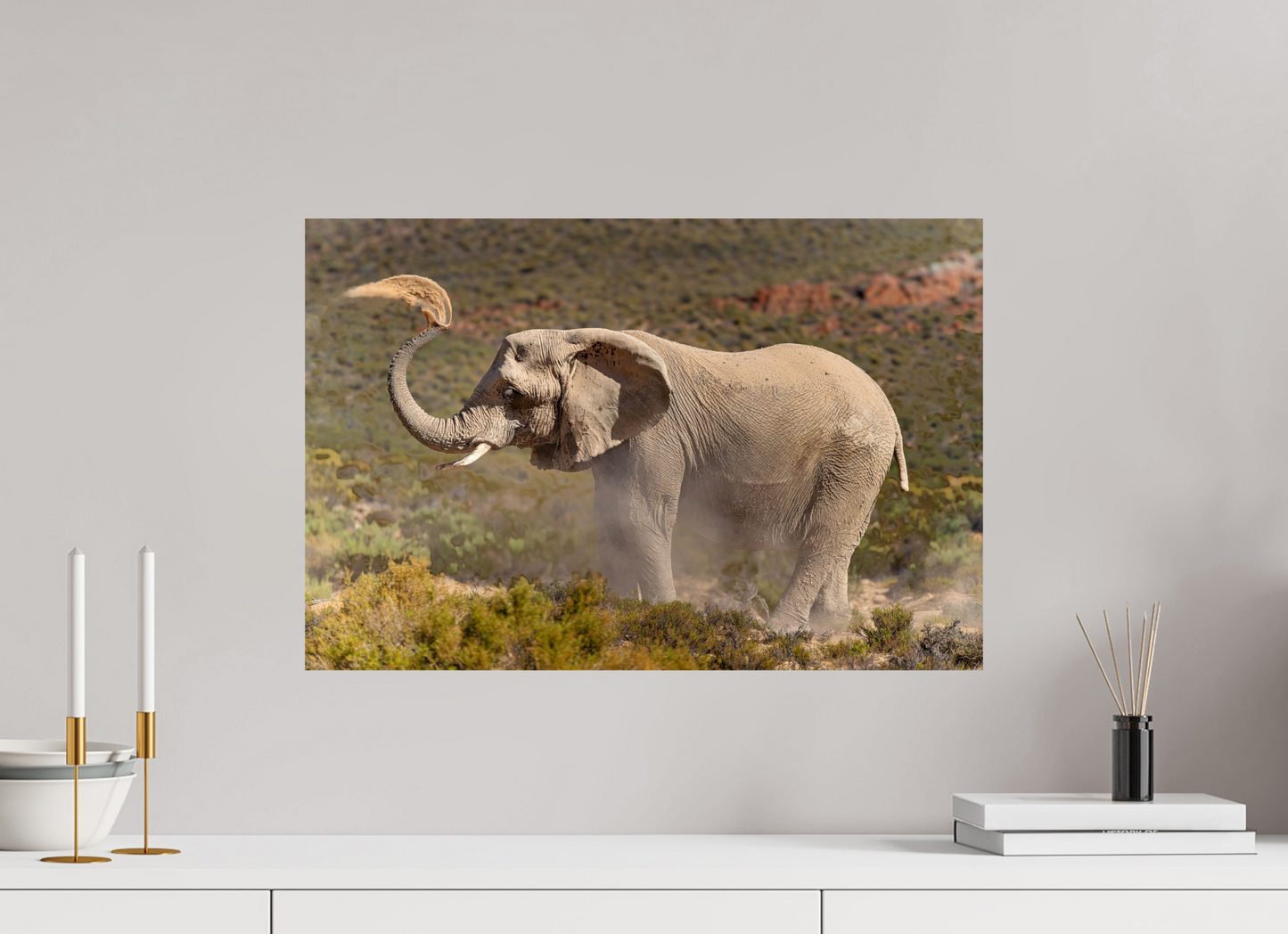 60 x 40 cm, Papier photo Fuji Dust and Elephant