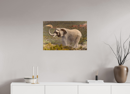 75 x 50 cm, Papier photo Fuji Dust and Elephant