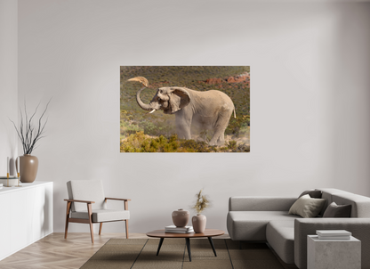 180 x 120 cm, Verre acrylique Dust and Elephant
