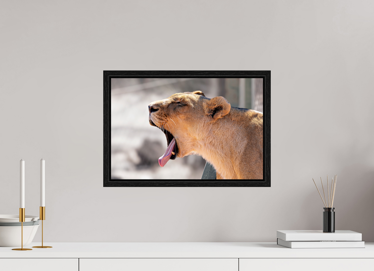45 x 30 cm, Floater Frame Yawning lioness