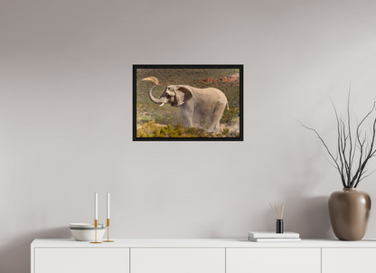 60 x 40 cm, Cadre bois Dust and Elephant
