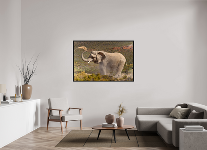 150 x 100 cm, Cadre bois Dust and Elephant