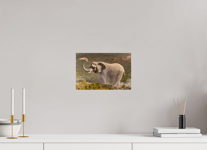 30 x 20 cm, Verre acrylique Dust and Elephant