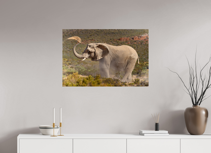 90 x 60 cm, Verre acrylique Dust and Elephant