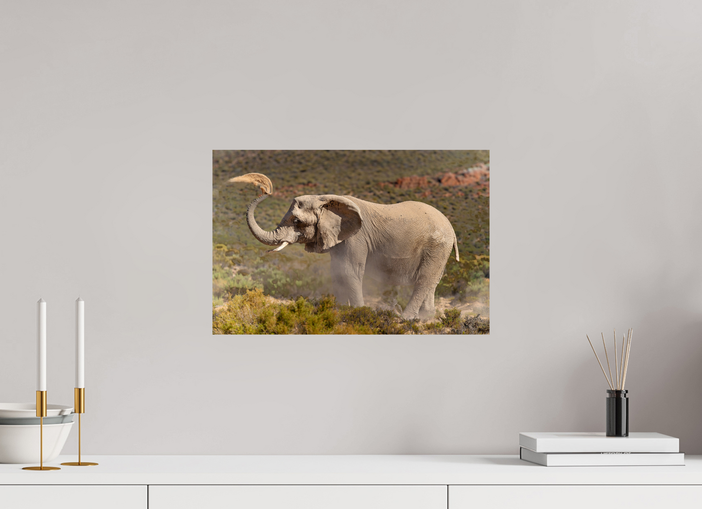 45 x 30 cm, Papier photo Fuji Dust and Elephant
