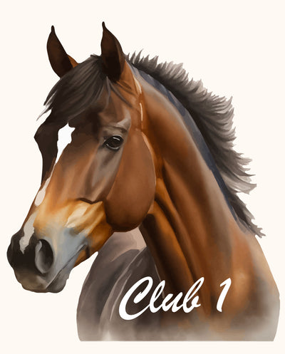 Club 1