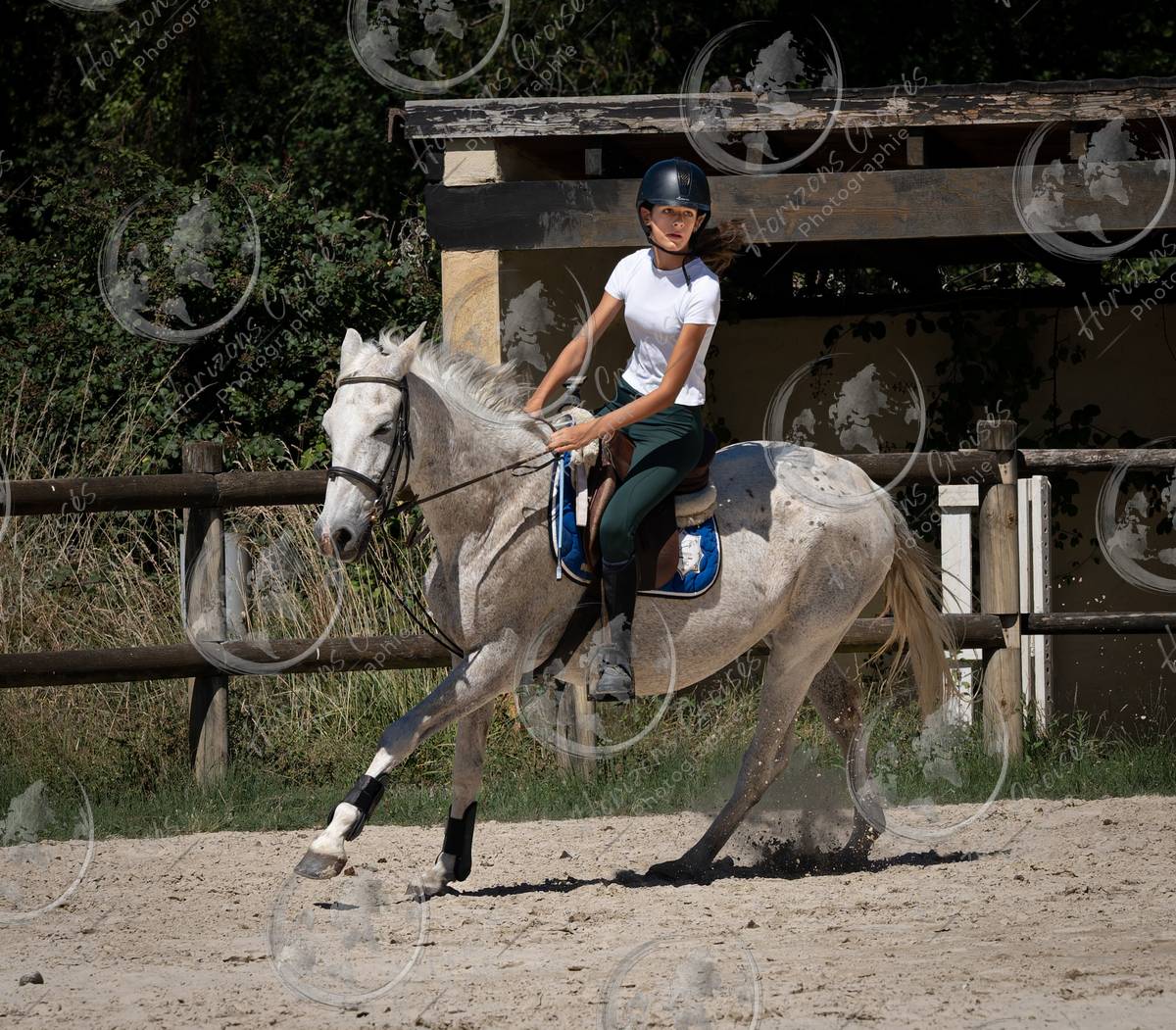 Club 4 - Rose & Estrella-02