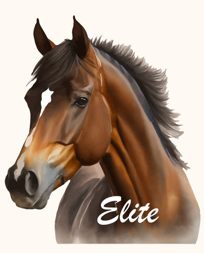 Club Elite