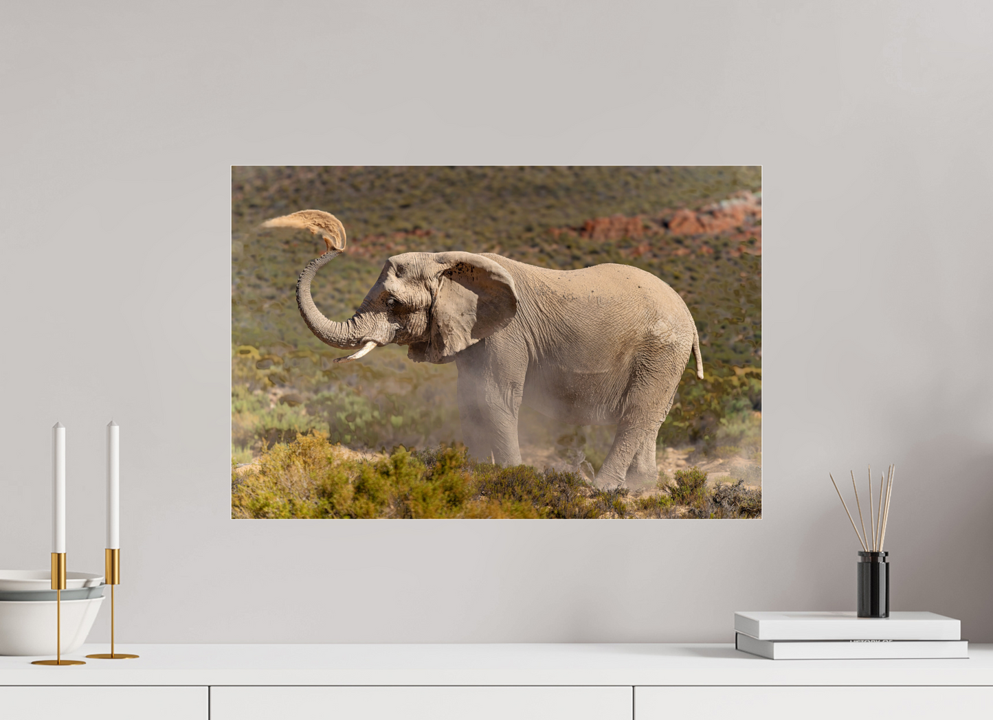 60 x 40 cm, Verre acrylique Dust and Elephant