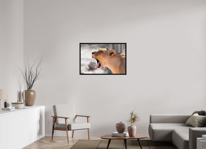 90 x 60 cm, Cadre bois Yawning lioness