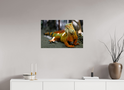 75 x 50 cm, Photo Print Under Acrylic Glass Green Iguana