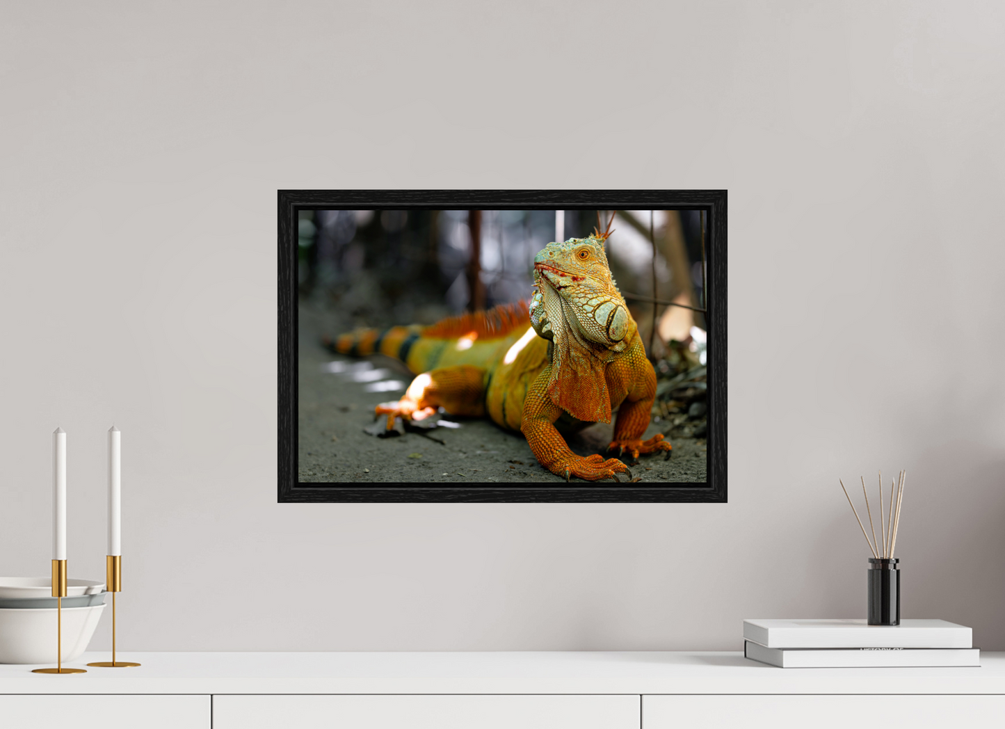 45 x 30 cm, Floater Frame Green Iguana