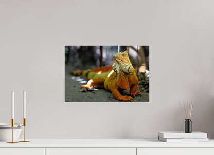 45 x 30 cm, Papier photo Fuji Green Iguana