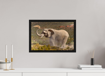 45 x 30 cm, Cadre bois Dust and Elephant