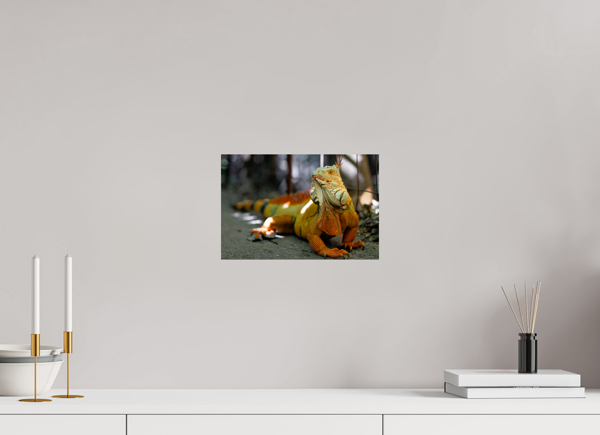 30 x 20 cm, Papier photo Fuji Green Iguana