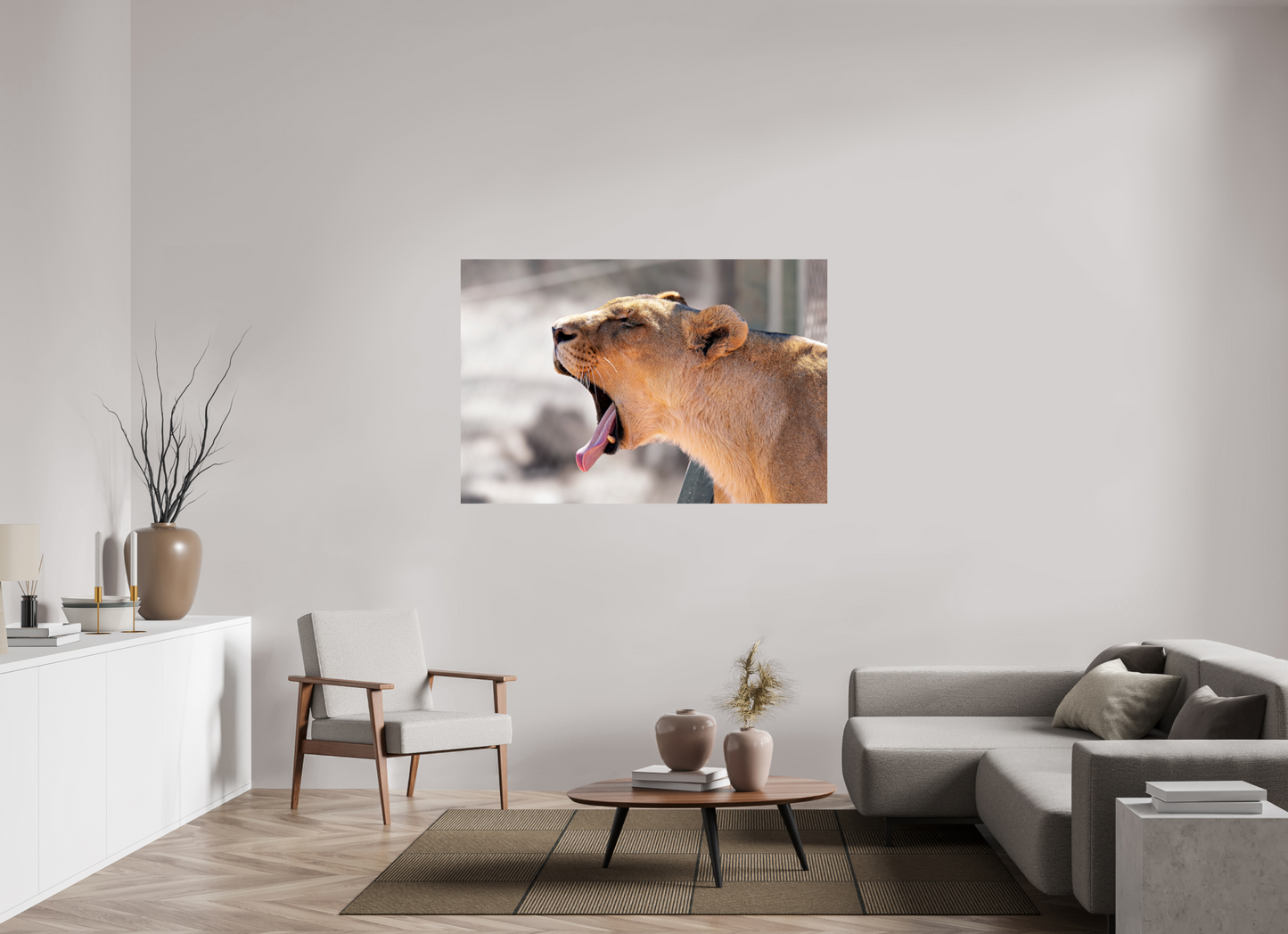 150 x 100 cm, Photo Print On Fuji Crystal DP II Yawning lioness