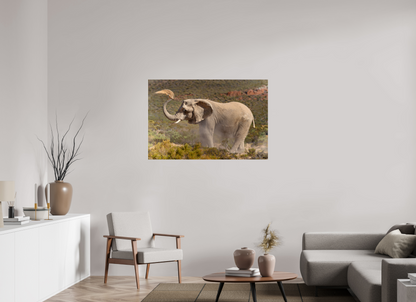120 x 80 cm, Verre acrylique Dust and Elephant